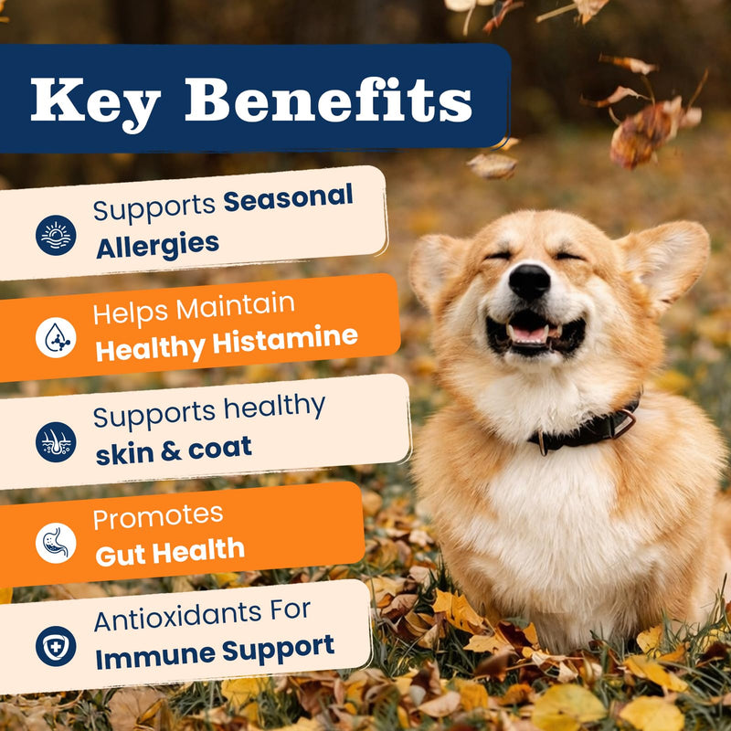 Dog Allergy Chews-120 Crunchy & Creamy Chews, anti-Allergy & Itching Skin Relief Bites Immune Support, with Omega 3 Fish Oil Probiotics for Seasonal All Issues Allergies Made in USA Chicken Flavor 120 counts