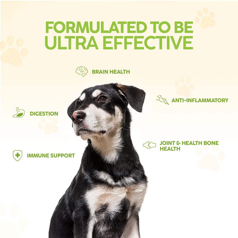 King Kanine Mushroom Plus, Protein & Joints 2 oz | Organic Powder to Improve Optimal Health & Pets Wellness | Supplement for Dogs & Cats Care Made with Fiber & Vitamins | Veterinarian Approved - PawsPlanet Australia