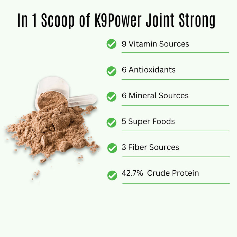 K9Power Joint Strong – Dog Joint Supplement for Mobility, Pain & Inflammation Relief – Glucosamine, Chondroitin, Collagen, Curcumin, Omega 3s, CMO, Green Tea – Ideal for Arthritis & Joint Protection Hip & Joint 1 lb (Pack of 1)