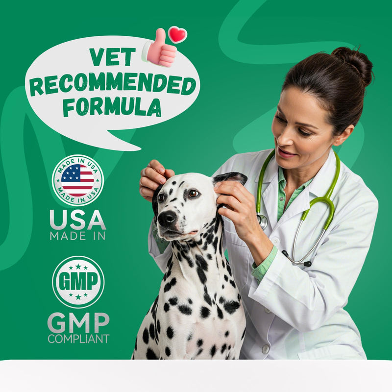 Furrolika 60 Count Probiotics Soft Chews – Made in The USA –Supplements for Gut Health, Digestive Support, Immune Support & Diarrhea Relief – Beef Flavor Dog Probiotic