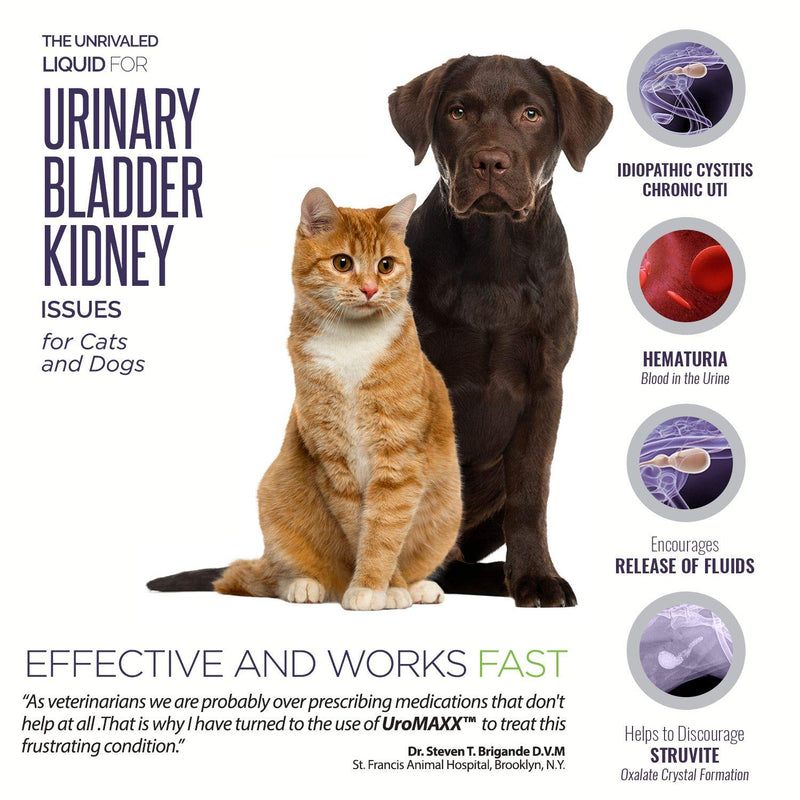 UroMAXX Urinary Tract, Kidney & Bladder Formula for Cats and Dogs, 6 oz Bottle 1 Bottle - PawsPlanet Australia