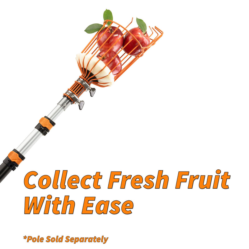 EXTEND-A-REACH Fruit Picker Basket Only // Twist-On Apple Picker Basket Only Fits Standard Acme Extension Pole // Fruit Tree Picker Tool for Orange Mango Avocado Lemon Pear (Pole Sold Separately)