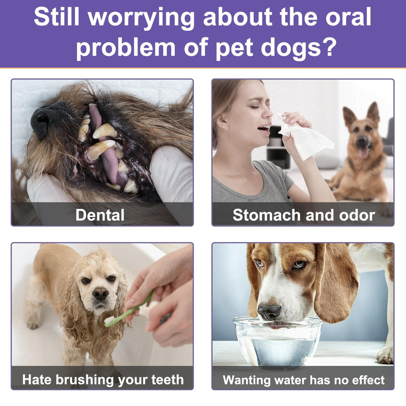 Dog Dental Powder,Dog Teeth Cleaning Powder,Plaque Off Powder Dog,Remove Food Residue and Tartar,Eliminate Oral Odor,Dog Breath Freshener-100G