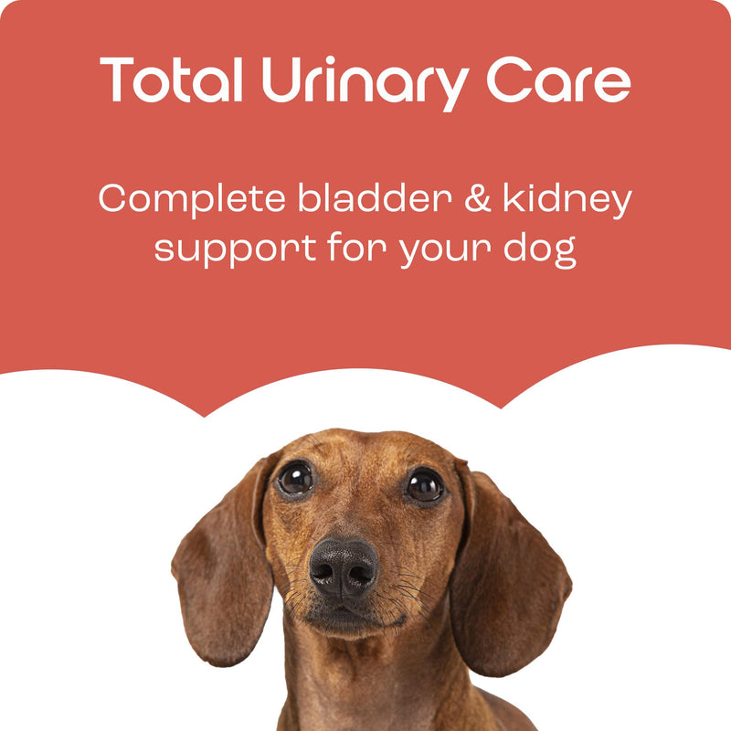 Total Urinary Care | Dog UTI, Incontinence & Cystitis Relief Tablets | Natural Ingredients | Advanced Bladder & Kidney Support for Dogs (60 Tablets) | Puptons 60 Tablets - PawsPlanet Australia
