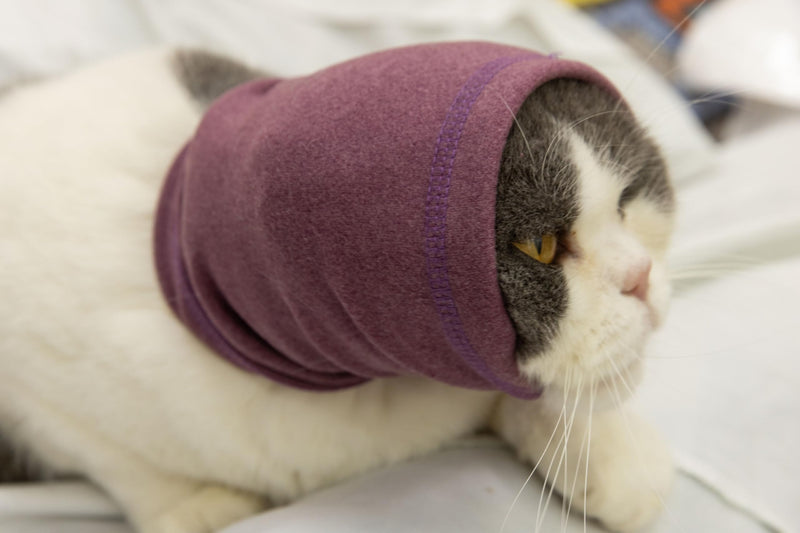 Cat Hematoma Ear Wrap, Cat Snood Anxiety Relief, Bath Accessories for Pet Grooming & Force Drying (Pail Lilac S) lilac purple Small