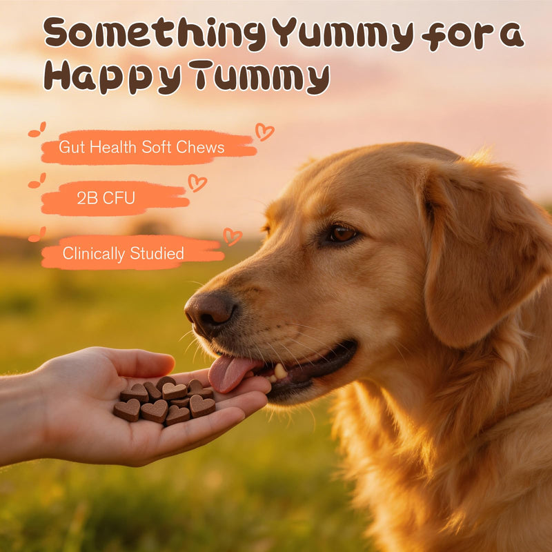 Probiotics for Dogs,Dog Probiotics 120 Soft Chews,Digestive Enzymes for Gut Flora, Dog is Human Digestive Enzymes Relieve Diarrhea Immunity Oral Problems Itching Constipation