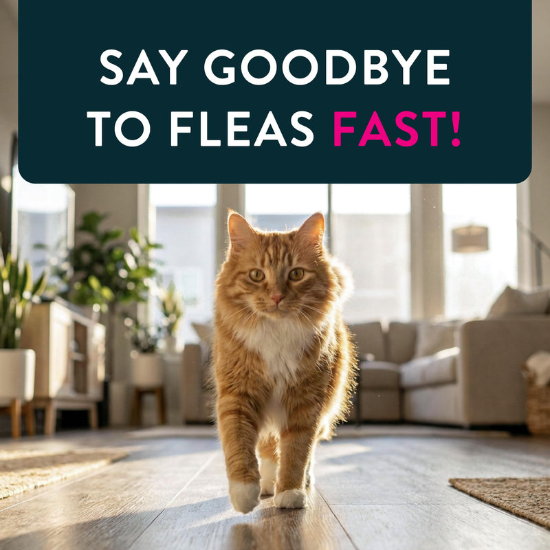 Capstar (nitenpyram) Cat Flea Treatment, Fast-Acting Oral Flea Treatment for Cats 2-25 lbs, Vet-Recommended Medication Tablets Start Killing in 30 Minutes, 6 Doses 6 Count