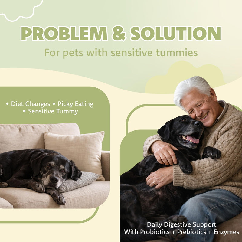 LOVITA Pets Digestive Health Probiotic for Dogs & Cats, SUBACTIL PB6 Spore Probiotic, 6-Strain Blend with Prebiotics (Inulin & FOS) and Digestive Enzymes, Chicken Flavor, 60 Capsules