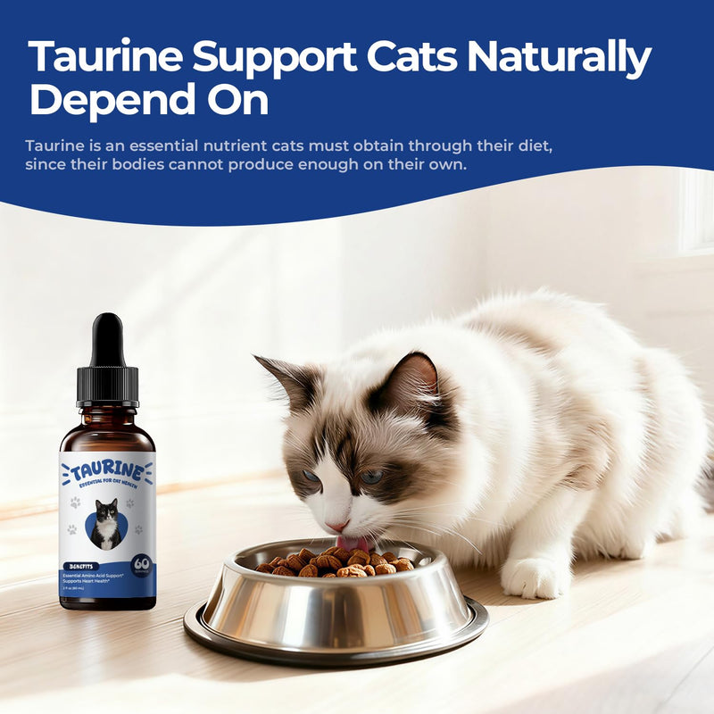 Taurine Supplement for Cats Liquid Drops, Essential Taurine Support for Heart Health, Vision & Immune Function, Daily Feline Nutrition Supplementt, 60 mL × 2 Bottles