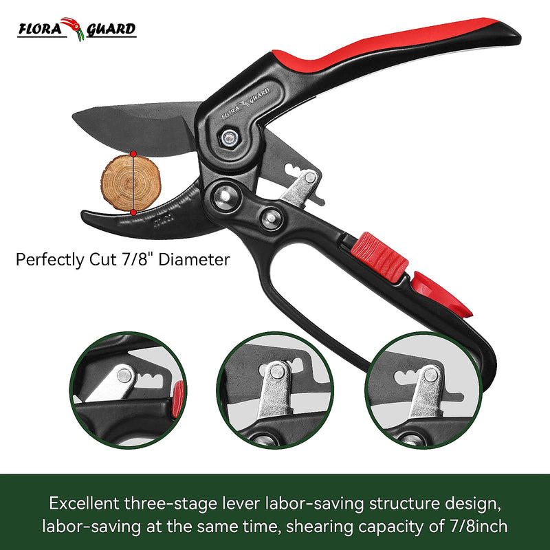 FLORA GUARD Garden Clippers, Professional Ratchet Pruning Shears, Increases Cutting Power 3x, Sharp Gardening Scissors, Cutting Rose, Flower, Hedge, Stem, Tree, Perfect for Weak Hands & Arthritis Reachet Pruner -Classic