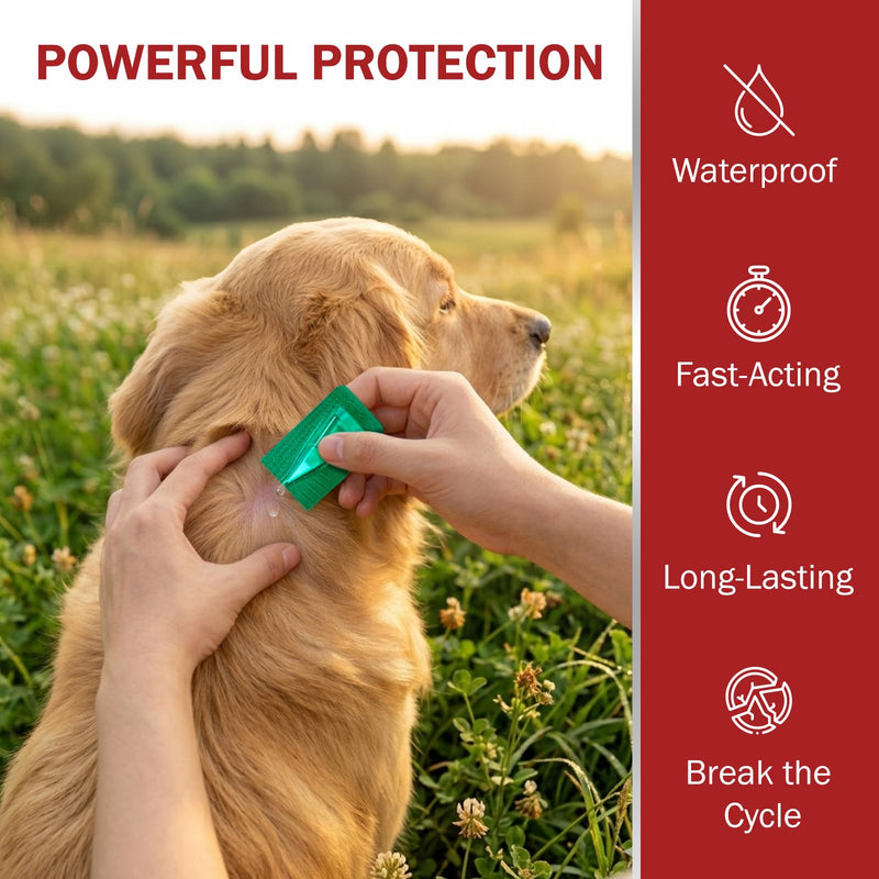 Flea and Tick Prevention for Large Dogs, Flea Drops for Dogs 45 to 88 lbs, 3 Month Support for Skin & Coat Health, Fast Acting, Dog Flea and Tick Treatment, Supplement