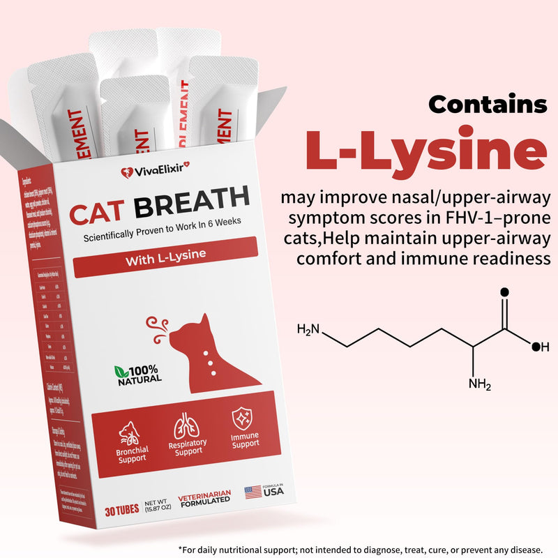 Lysine for Cats, Helps Reduce Sneezing, Coughing, Runny Nose & Upper Respiratory Treatment – Taurine + Echinacea Immune Support – Cat Cold, Asthma & Nose Relief – Respiratory Support Bars