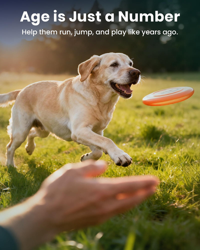 NAD+ Glucosamine for Dogs Hip and Joint Supplement - 300 Soft Chews - Advanced Mobility Support with MSM, Chondroitin, Resveratrol & CoQ10 - Healthy Aging & Vitality Brown