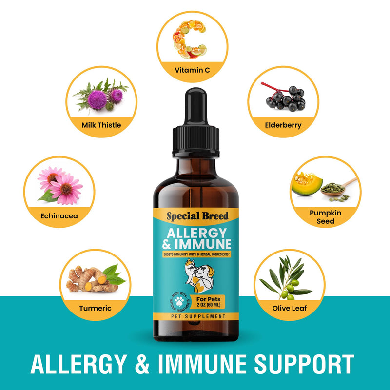 Allergy & Immune with Elderberry, Allergy Relief for Cats and Dogs, Anti Itch Treatment, Relief for Pet Allergies, Immune Support for Cat or Dog, 2 oz 1 Count (Pack of 1) - PawsPlanet Australia