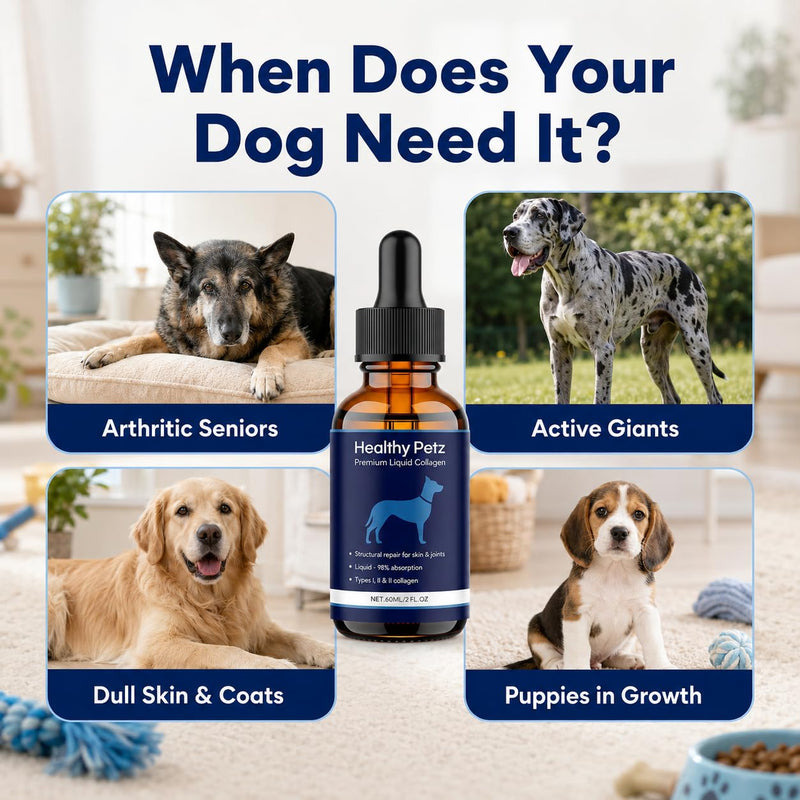 Premium Liquid Collagen, Liquid Collagen for Dogs, Pet Collagen Supplement for Joints, Skin & Coat, Digestive Health Support, 60ml / 2 fl oz