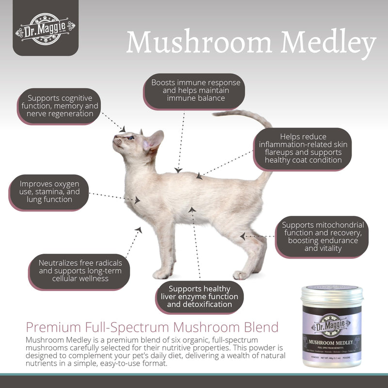Dr. Maggie Mushroom Medley | Organic Mushroom Powder with Cordyceps Maitake Shiitake Chaga Turkey Tail and Lions Mane for Dogs and Cats | 88g
