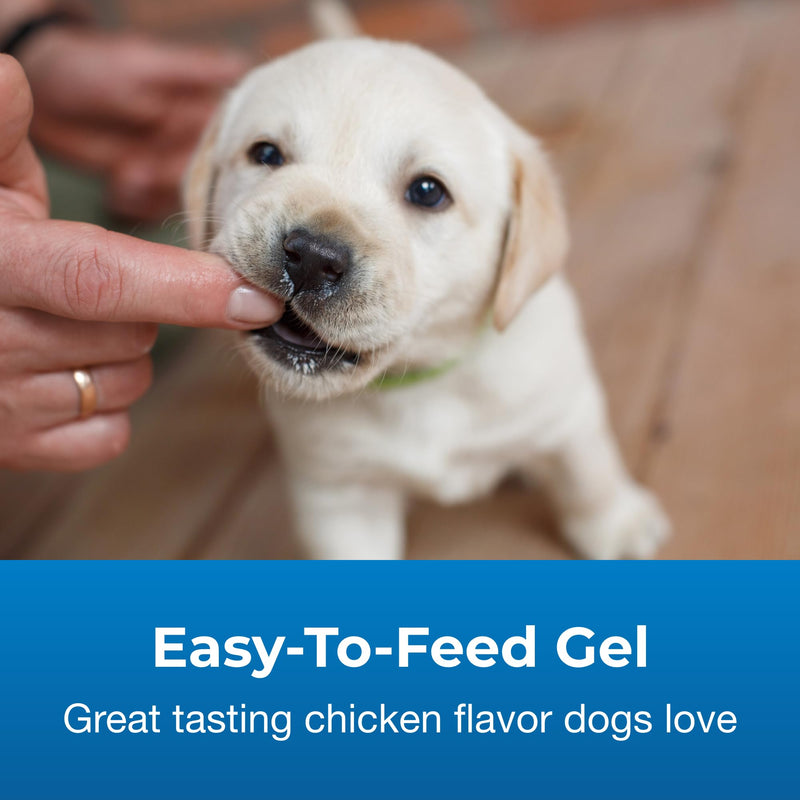Pet-Ag High Calorie Gel Supplement for Dogs - 5 oz - Chicken Flavor - Provides Extra Calories for Dogs 8 Weeks and Older - Easy to Digest - PawsPlanet Australia