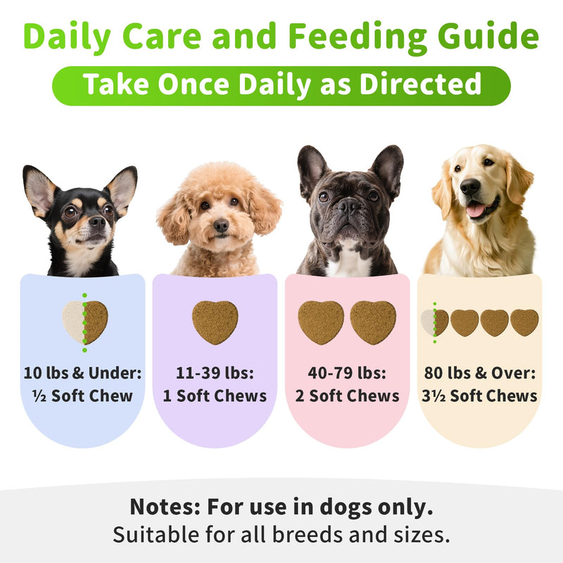 Dog Liver Support Chews - with Milk Thistle (Silybum), Same & NAC - Liver Supplement for Metabolic - Detox - Gut & Immune Health - Beef Flavor, 90 Soft Chews Beef 90 CT