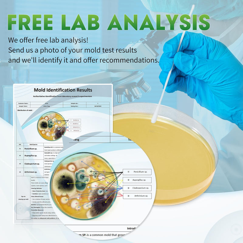 Mold Test Kit for Home with Free Lab Analysis - 10 Simple Detection Tests DIY at Home Mold Air Tester - Test HVAC System,Surface Mold for Home Indoor & Outdoor Air Quality Mold Testing Kits Detector