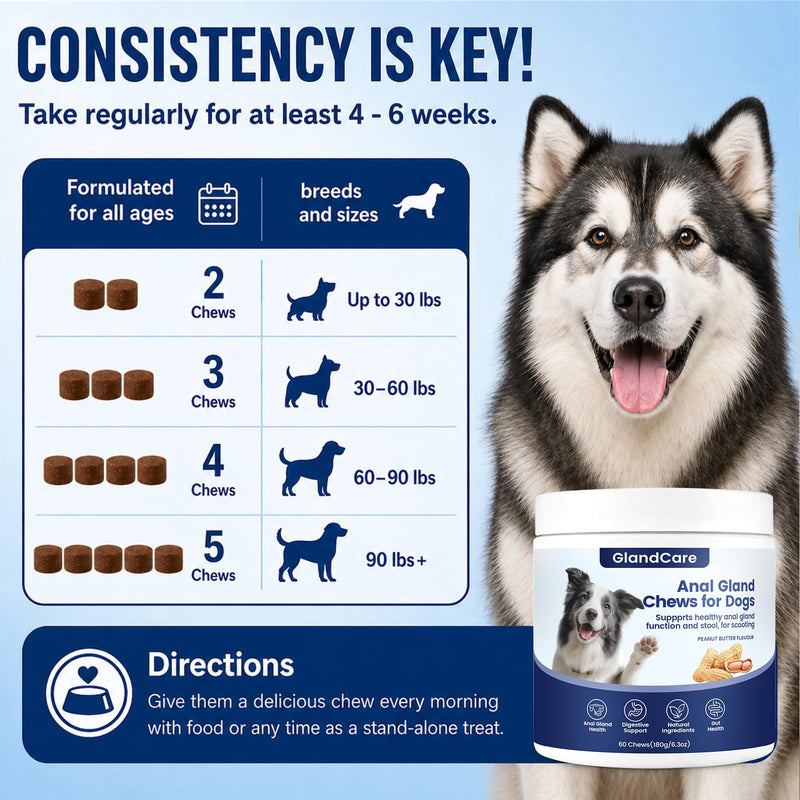 GlandCare Plus Anal Gland Chews for Dogs, Dog Anal Gland Supplement - Pumpkin, Psyllium Husk, Fiber, Supports Gut & Digestive Health (1) 1