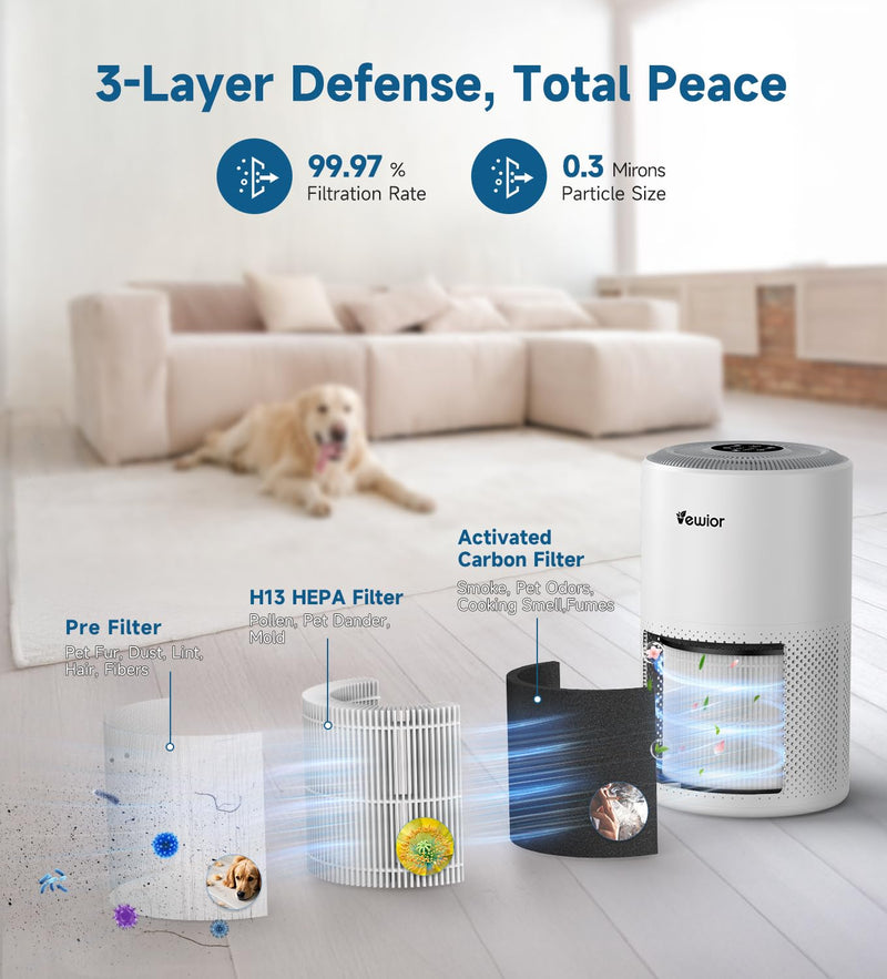 VEWIOR Official Air Purifier Replacement Filter for D10N