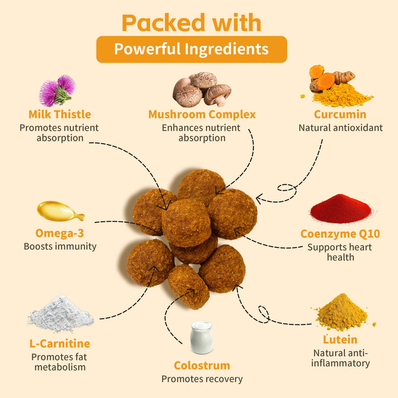 Lipoma Treatment for Dogs – L-Carnitine Helps Maintain Fat Metabolism, Energy, and Vitality; Turkey Tail, Reishi, Curcumin, and Coenzyme Q10 Help Promote Cellular, Immune, and Overall Health