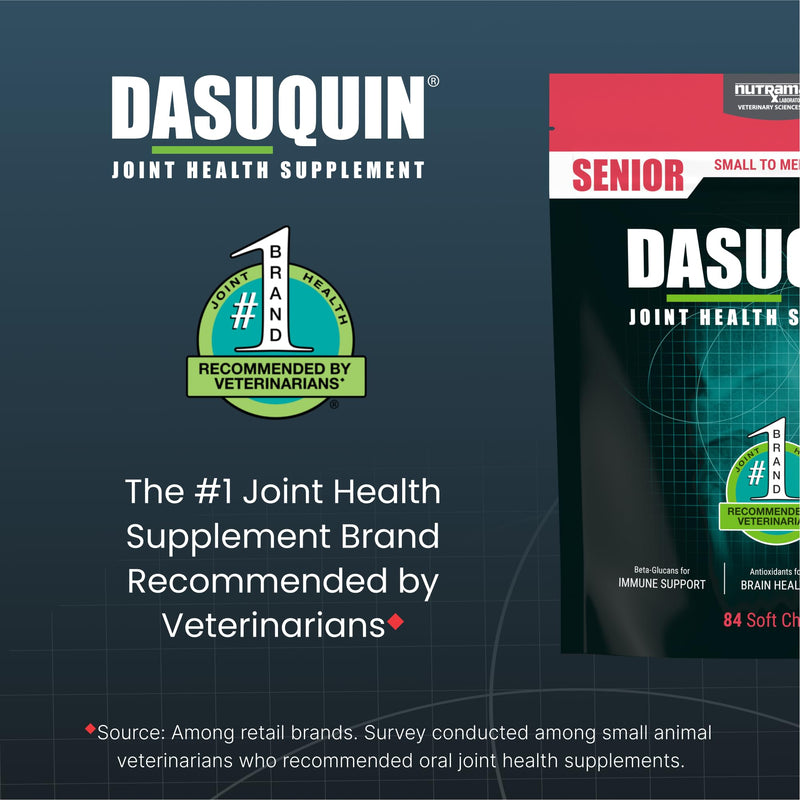 Nutramax Dasuquin Joint Health Supplement for Small to Medium Senior Dogs – for Immune Support, Skin & Coat Health, and Brain Health, 84 Soft Chews - PawsPlanet Australia