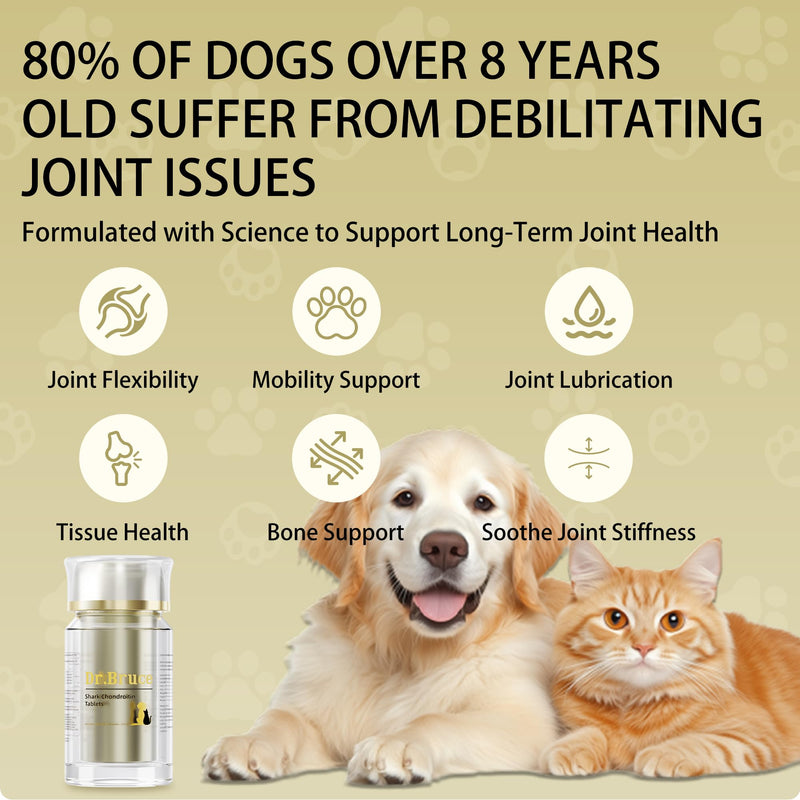 Dr.Bruce Dogs and Cats Hip & Joint Supplement, Chondroitin Sulfate & Calcium Carbonate，Joint Supplement for Cats for Large Breed & Senior Dogs，Relieve Arthritis in Dogs and Cats，140 Chewable Tablets | arthritis relief for dogs,joint supplements for dog...