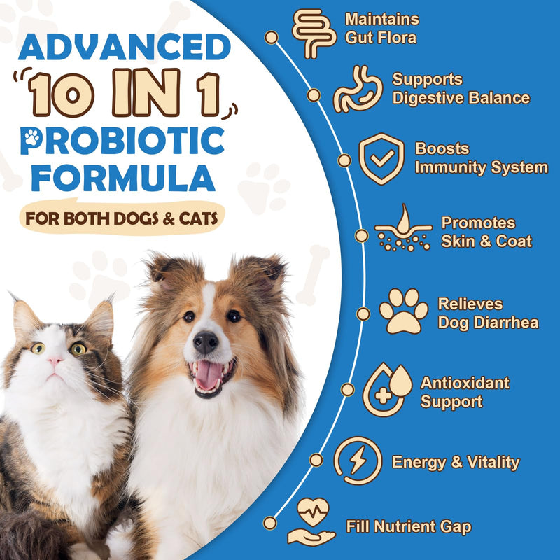 ZEBORA Probiotics for Dogs, Probiotic Powder with Pumpkin, Prebiotics & Digestive Enzymes, 6 Billion CFUs Dog Probiotics for Digestive Health, Gut & Immune Health, Chicken Flavor, 90 Scoops 9.52 Ounce (Pack of 1)