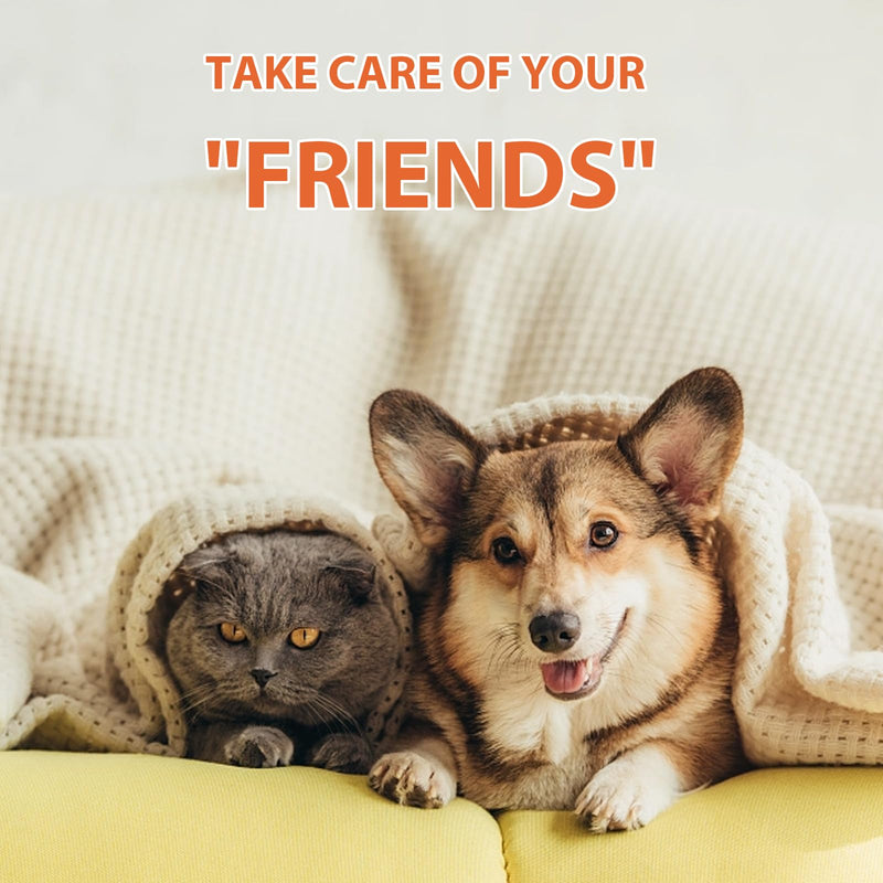 MCstars Natural Lick Safe Pet Paw Cream for Dogs & Cats, Oat Protein Aloe Vitamin E, Heal Dry Cracked Paws & Nose, All-Season Paw Protector, Non-Irritating Quick Absorb Pet Skin Care (2oz/60g) Paw Cream 60g-Orange