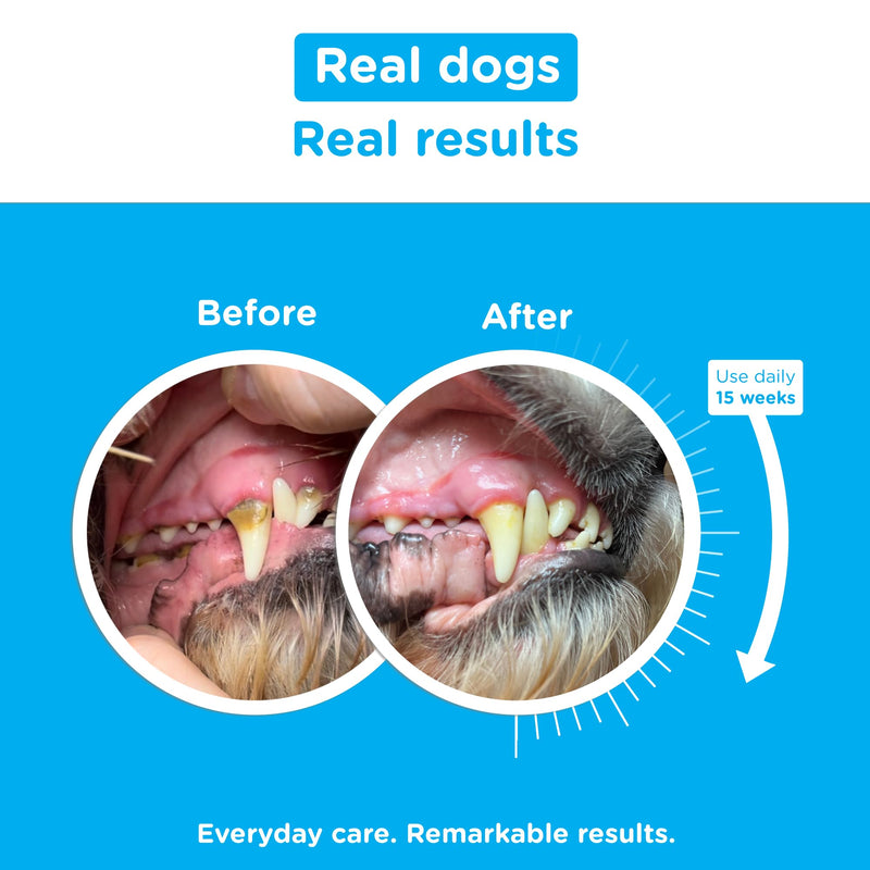 Seaweed Dental Supplement for Dogs, Natural Plaque and Tartar Control, Bad Breath Eliminator 150g Plastic Tub