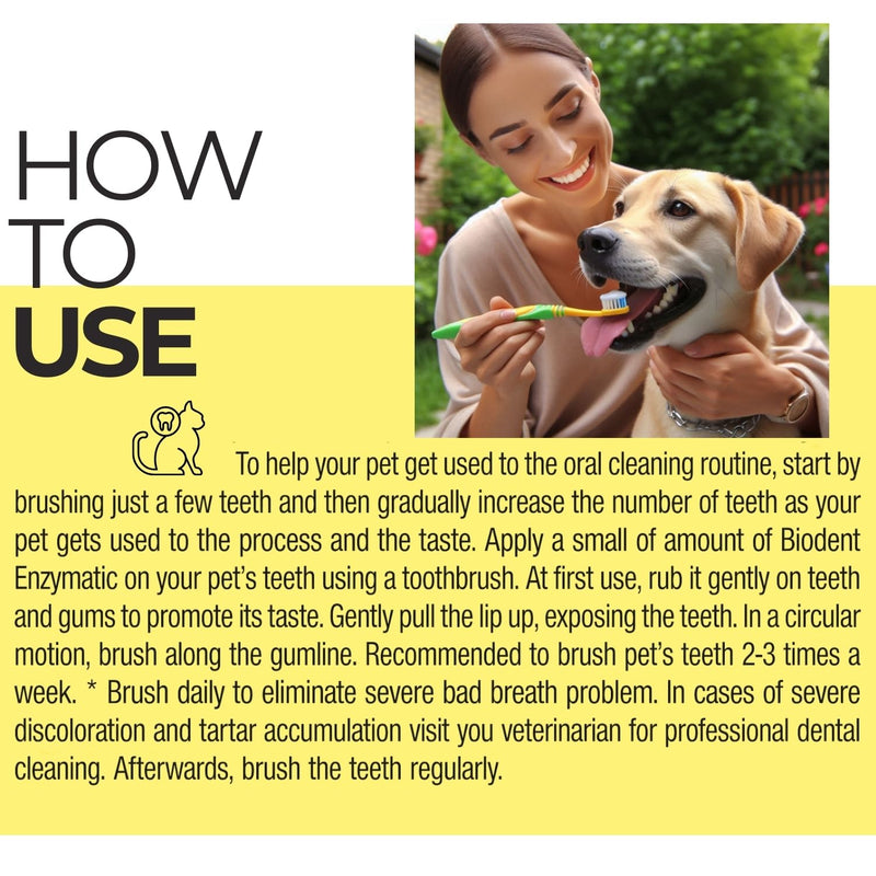Cat Dry Shampoo Powder with Lavender and Rosemary and Enzymatic Pet Toothpaste | Cat Tooth Brushing Kit | Cat & Dog Dental Care