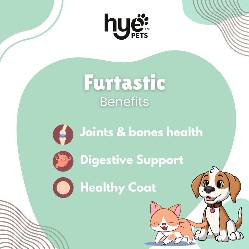 HYE Pets Full Fat Goat Milk Powder for Dogs and Cats 200g 7.05 oz Dog Food Topper Meal Mixer