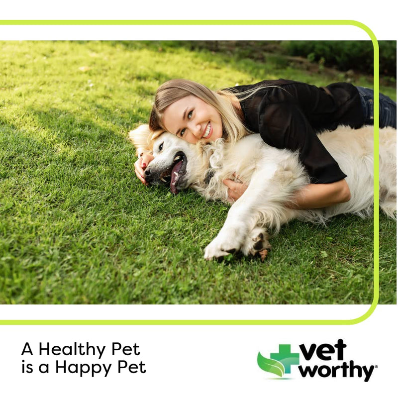 Vet Worthy Adult Multi Vitamins - Multivitamin for Dogs to Support Optimum Health and Overall Wellness - Dog Supplement with Iron, Magnesium, Zinc, Vitamin A, B Vitamins - Liver Flavor, 60 Tablets
