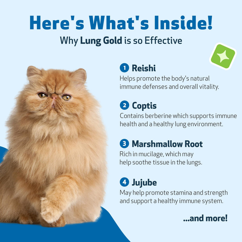 Pet Wellbeing - Lung Gold for Cats - Natural Breathing Support for Felines - 2oz (59ml)