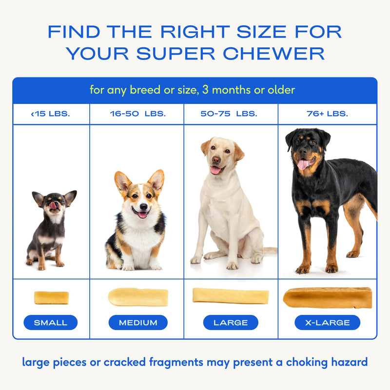 Native Pet The Daily Dog Vitamins & Supplements (30 Scoops) & Yak Chews (3 Medium Chews) - All Natural Dental Stick Made with Yak Cheese for Aggressive Chewers & 11-in-1 Multivitamin for Dogs