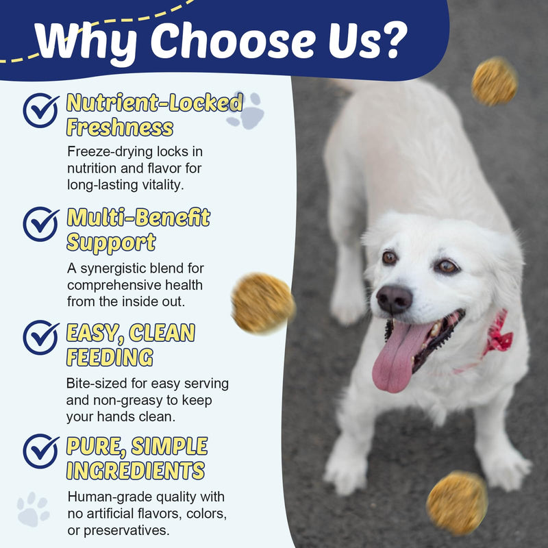 ZEBORA Salmon Oil for Dogs Skin and Coat, Omega 3 Fish Oil for Dogs Skin and Coat