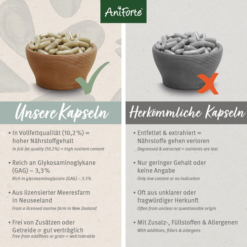 AniForte green-lipped mussel dog 100 pieces - green-lipped mussel capsules for dogs, joint tablets with green-lipped mussel powder in full-fat quality 10.2%, green-lipped mussel extract for joints 100 pieces. - PawsPlanet Australia