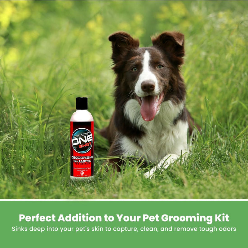 Best Shot One Shot Deodorizing Shampoo, Coat and Skincare Product for Dogs, Cats, and Horses, Eliminates Foul Odors, De-Skunk, Ready-to-Use, 16 Oz. - PawsPlanet Australia