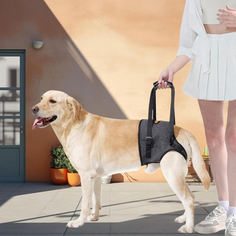 LIU&LIU Dog Support Harness for Hind Limb and Hip,Pet Recovery Walking Training,Elderly Injured Disbled,Dark Grey,S S Dark Grey