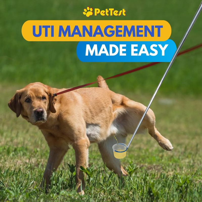 PetTest i-Catch Telescoping Dog Urine Catcher, 45-inch Extendable Dog Pee Stick Collector, and Telescopic Pole Handle for Small and Large Breeds, Includes a Reusable Cup with Milliliter Markings - PawsPlanet Australia
