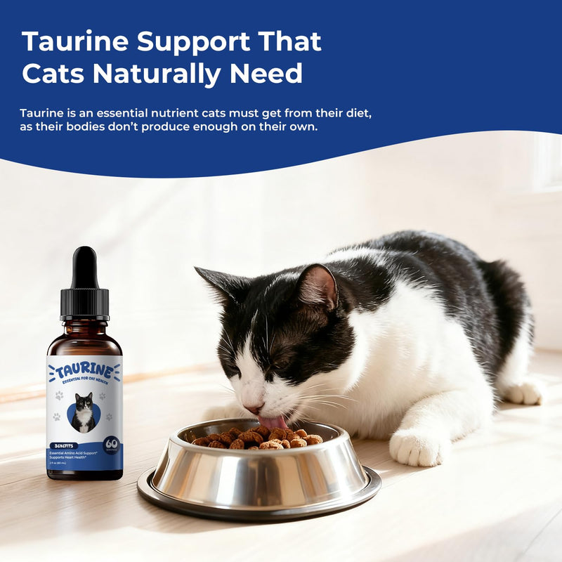 Taurine Supplement for Cats Liquid Drops – Essential Taurine for Heart Health, Vision & Immune Support, Easy-to-Mix Daily Feline Nutrition Supplement