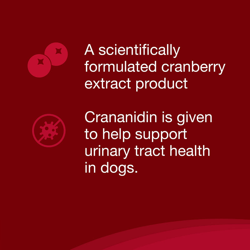 Nutramax Laboratories Crananidin Cranberry Extract Urinary Tract Health Supplement for Dogs, 75 Chewable Tablets 75 Count
