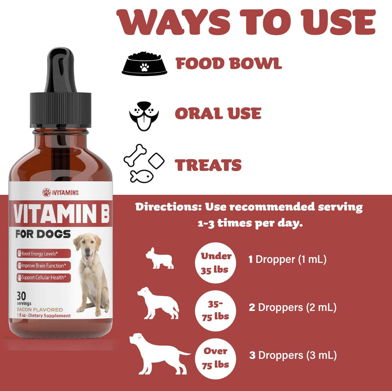 Vitamin B for Dogs | Vitamin B Complex for Dogs | Vitamin B12 for Dogs | Dog Vitamins | B12 Vitamins for Dogs | Vitamin B Dog Supplements | B Complex for Dogs | B12 for Dogs | Do1 fl oz: Bacon Flavor - PawsPlanet Australia