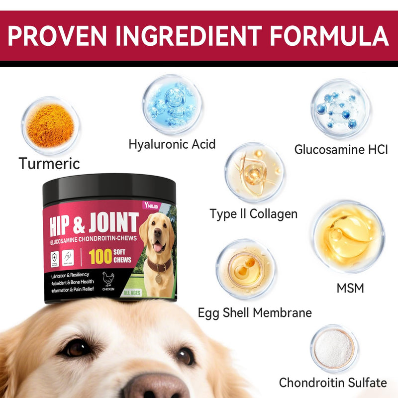 Hip and Joint Supplement for Dogs, Advanced Glucosamine for Dogs Vet-Formulated with Chondroitin, Msm,Omega 3, Pet Joint Health Support Mobility for All Puppy, Adult & Large Breed & Senior Dog