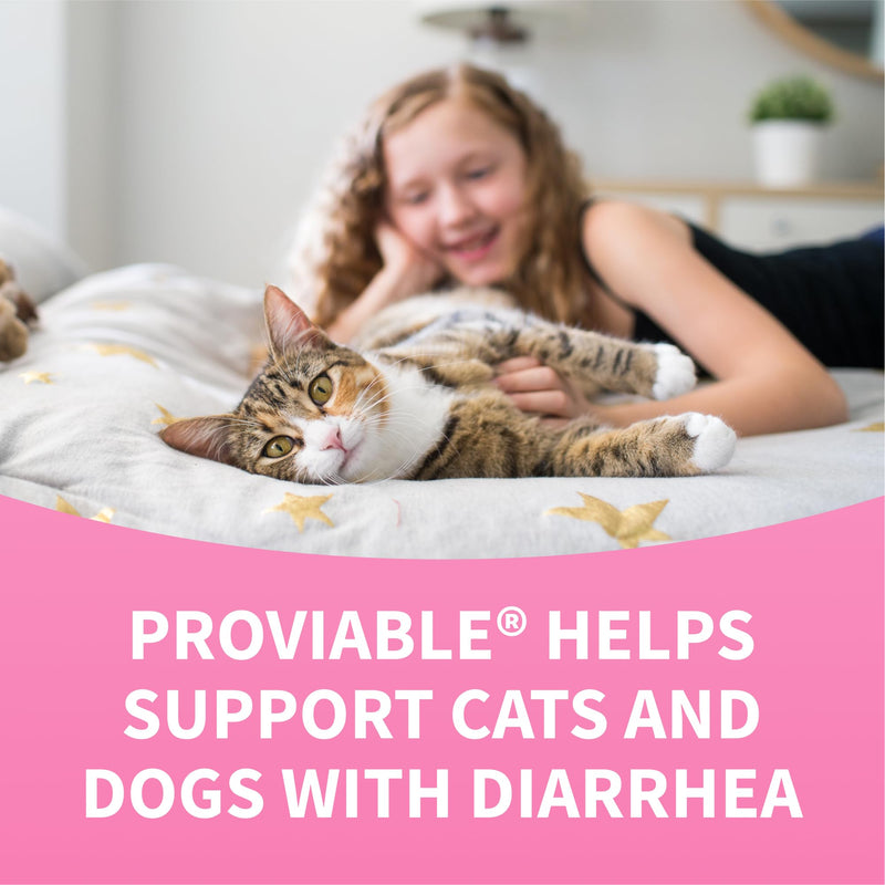 Nutramax Proviable Probiotics for Small Dogs and Cats, Diarrhea Support Kit, Digestive Health Supplement with Multiple Strains of Bacteria, Plus Prebiotics, Kaolin and Pectin, 15 ml Paste and 10 Capsules Small Dog/Cat (Under 20 lbs) - 15 ml (Pack of 10)