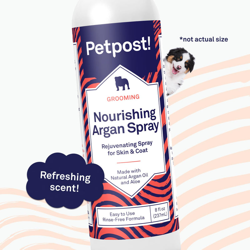 Petpost | Waterless Argan Shampoo Spray for Dogs with Sensitive Skin - Naturally Nourishing Coat Cleaner & Deodorizer for Healthier, Shinier Fur - Rinse Free Formula 8 oz. 8 oz. - PawsPlanet Australia