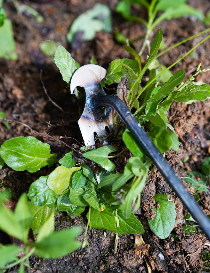 TOYPOPOR New Weeding Artifact Uprooting Weeding Tool, 16" Weed Puller, 4 Teeth Manganese Steel Forged Hand Pulling Weeder for Garden Yard Farm Weed Removal 4 Teeth Weeder
