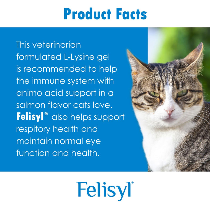 Immune System Support for Cats - Amino Acid L-Lysine - Produce Antibodies - Healthy Tissue, Respiratory Health, Vision - 60 Soft Chews