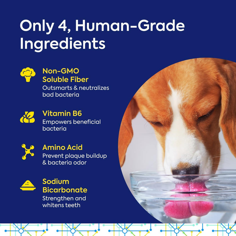 TEEF FOR LIFE Refill Packets Protektin42 Prebiotic Dental Powder for Dogs, Plant-derived, Clinically-Proven Formula Naturally Fights Bad Breath, Plaque, and Tartar, 3 Packets with 90 Servings Refill Packet (90 Servings)